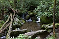 IMG_7034