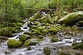 IMG_7035