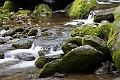 IMG_7036