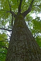 sm9_HDR2
