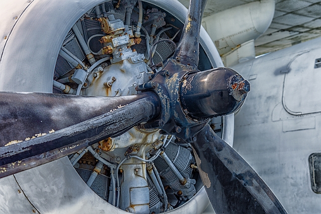 _DSC1869-HDR-Edit.jpg