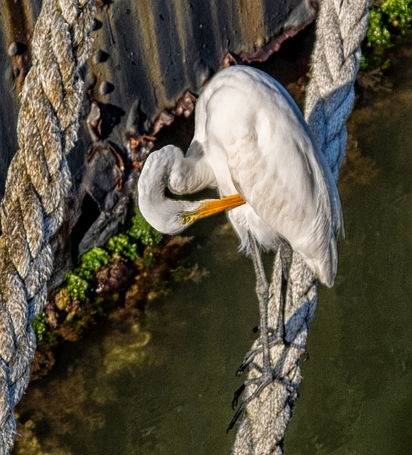 _DSC1966-HDR-Edit-Edit.jpg