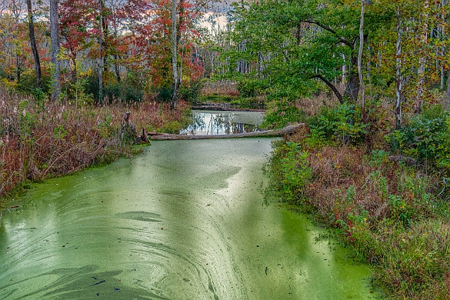 _DSC2769-HDR-Edit.jpg