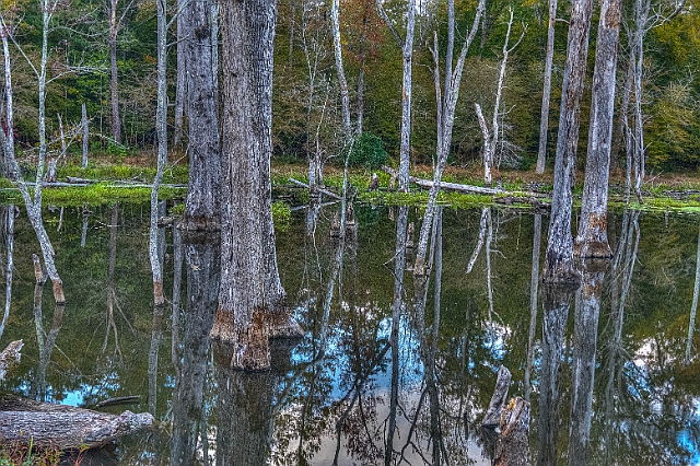 _DSC2770_1_2.jpg
