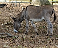_DSC1307