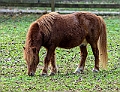 _DSC1315