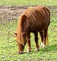 _DSC1317
