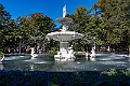 _DSC1618