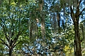 _DSC1627_8_9