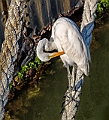 _DSC1966-HDR-Edit-Edit