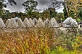 _DSC2437_8_9