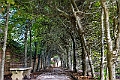 _DSC2581