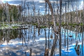 _DSC2755_6_7