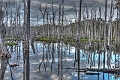_DSC2761_2_3