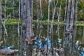 _DSC2770_1_2