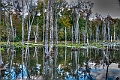 _DSC2773_4_5