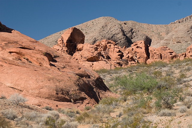 IMG_8570.jpg