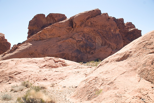 IMG_8581.jpg