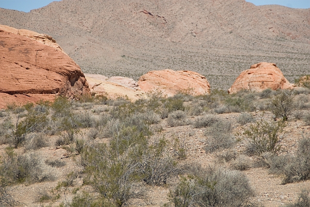 IMG_8586.jpg