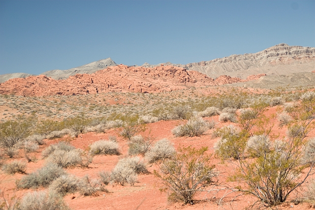 IMG_8617.jpg