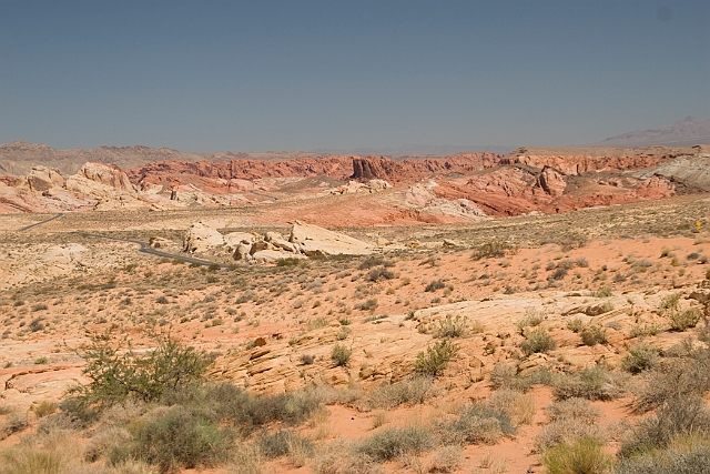 IMG_8620.jpg