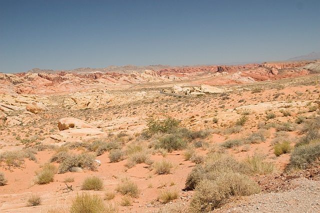 IMG_8622.jpg