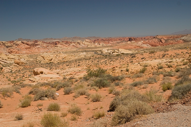 IMG_8624.jpg