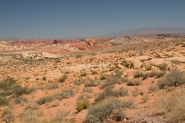 IMG_8626.jpg