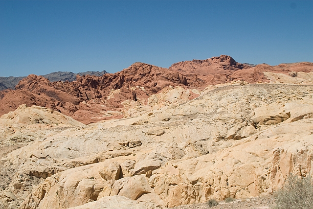 IMG_8630.jpg