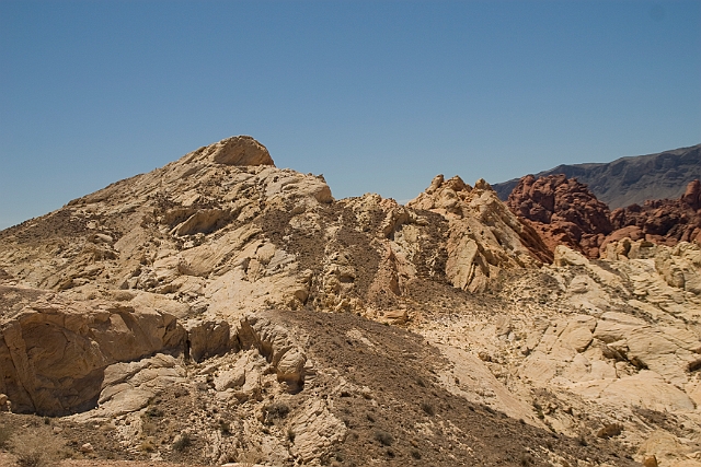 IMG_8631.jpg