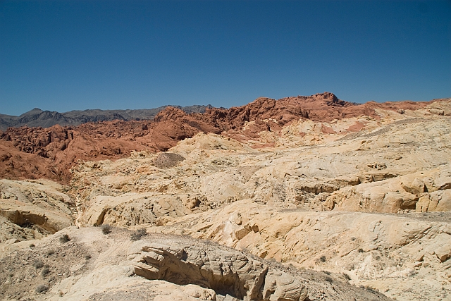 IMG_8632.jpg