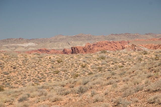 IMG_8636.jpg