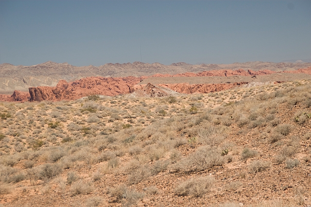 IMG_8637.jpg