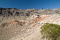 IMG_8521