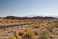 IMG_8524