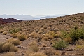 IMG_8525