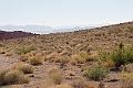 IMG_8526