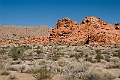 IMG_8529
