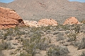 IMG_8586