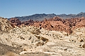 IMG_8627