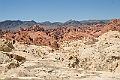IMG_8628