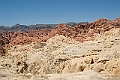 IMG_8629