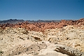 IMG_8633