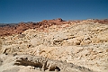 IMG_8634