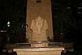 IMG_8645