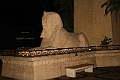 IMG_8668