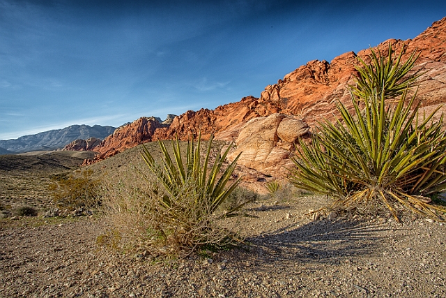 1G0A1267-HDR-Edit.jpg