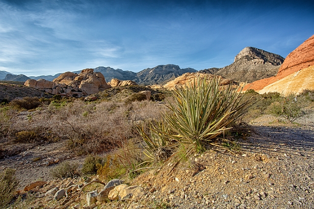 1G0A1361-HDR-Edit.jpg