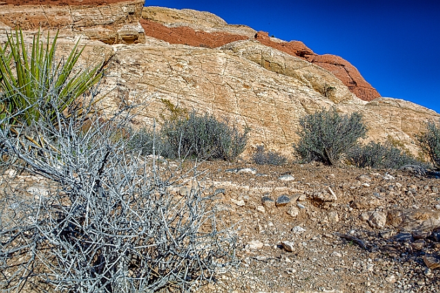 1G0A1453-HDR-Edit.jpg