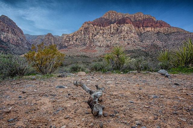 1G0A1545-Edit-Edit.jpg